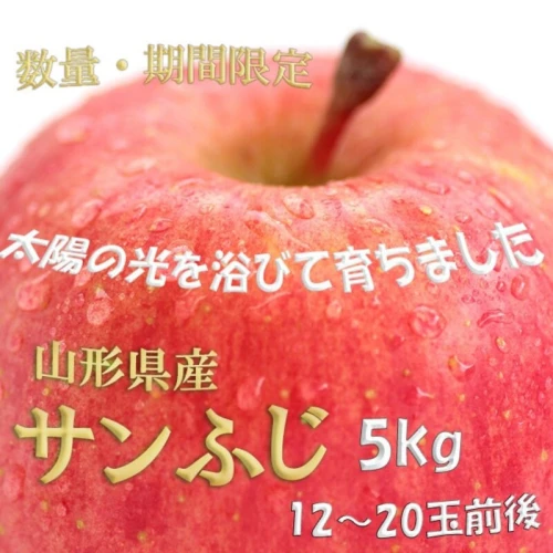 先行予約 2023年度発送》 ※数量・期間限定※ 山形県産りんご サンふじ