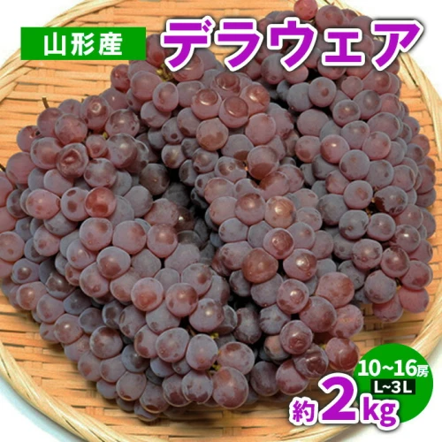 山形産 デラウェア 約2kg(10～16房) L～3L 【令和6年産先行予約】FS23