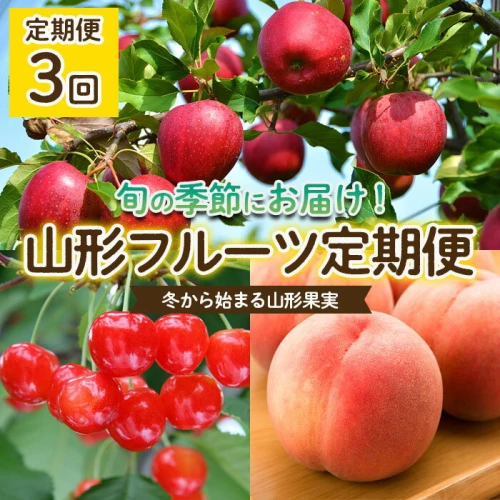 定期便3回】冬から始まる山形果実 fz22-443 山形県 りんご リンゴ 林檎