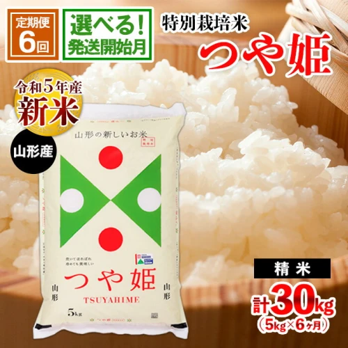 定期便6回】山形産 特別栽培米 つや姫 5kg×6ヶ月(計30kg) FY21-332