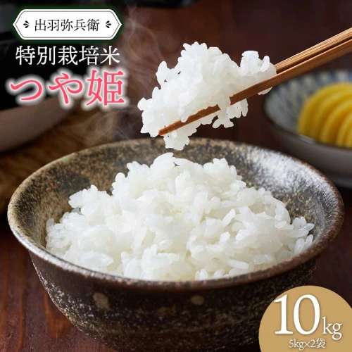 数量限定【令和5年産】特別栽培米つや姫 白米 5kg×2袋 計10kg 山形県