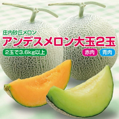 ふるさと納税 アンデスメロン 青肉・赤肉セット 大玉2玉 計3.6kg以上
