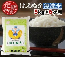 ≪12ヶ月定期便≫ 山形米味比べ 5kg×12ヶ月 計60kg ひとめぼれ