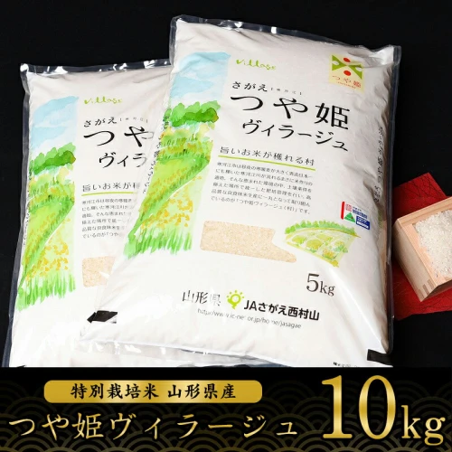 令和5年産 つや姫 10kg（5kg×2袋） 新米 「つや姫 ヴィラージュ」 特別