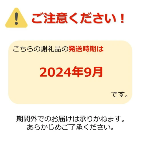 アフター保証対象品／【2024年8月～9月発送分】置賜産マスクメロン