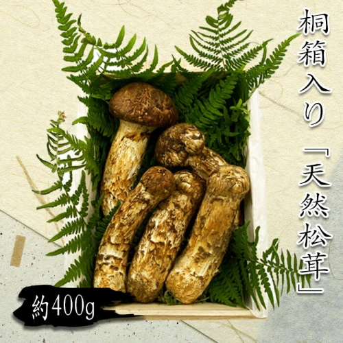 流行商品山形県産松茸　287g 野菜