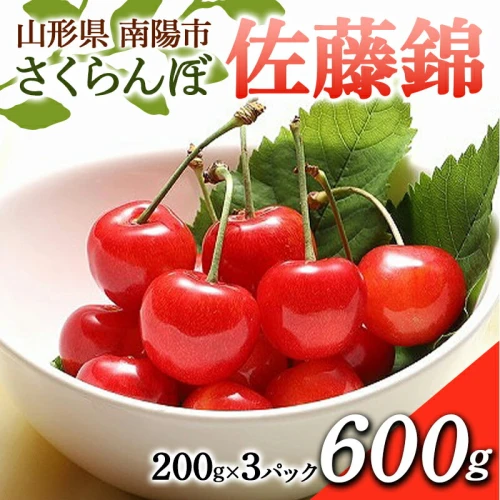 ふるさと納税 《2023年 先行予約》さくらんぼ 佐藤錦 600g(200g×3