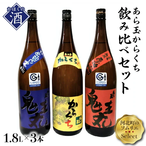 日本酒 ソムリエ淳一セレクト あら玉 からくち一升瓶飲み比べ 3本