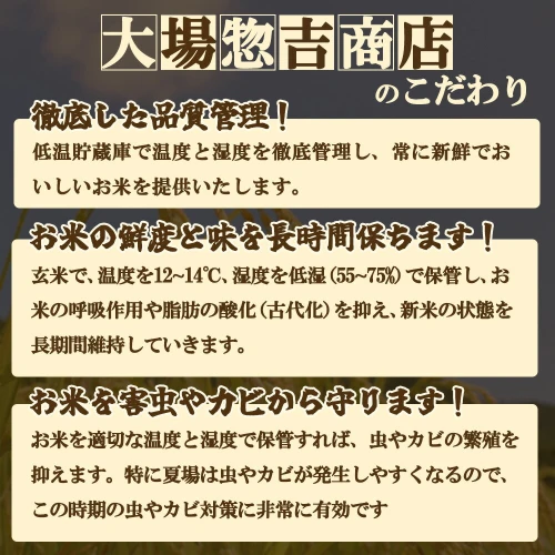 令和5年産】「山形県舟形町産 雪若丸」 選べる 精米 無洗米 10kg（5kg