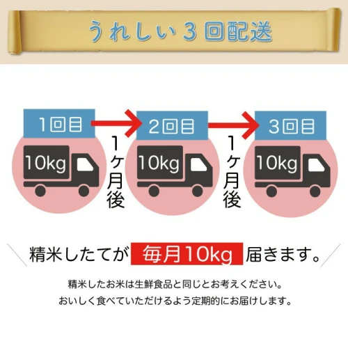 配送時期が選べて便利な定期便＞令和5年産 真室川町厳選 はえぬき