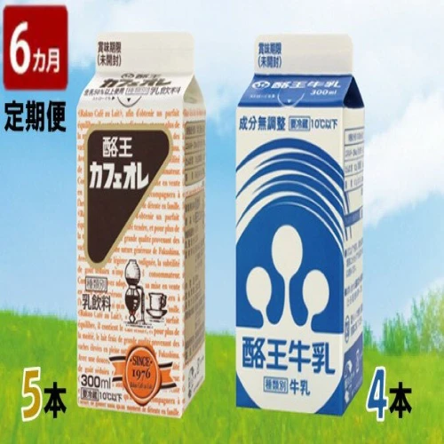 6ヶ月定期便】酪王カフェオレ300ml×5本・牛乳300ml×4本セット 【定期便