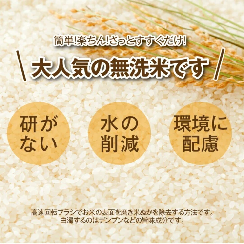 令和5年産 ／ 定期便 3回 田村市産 無洗米 ひとめぼれ 10kg ( 5kg × 2