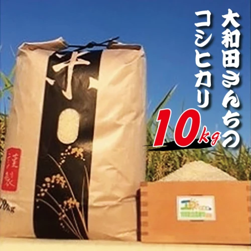 コシヒカリ 10kg 大和田さん家のコシヒカリ 令和 5年度米