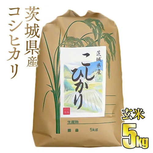 令和5年茨城県産コシヒカリ5kg【玄米】