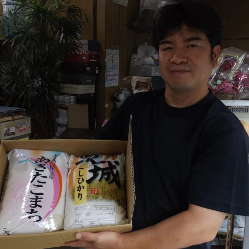 ふるさと納税 茨城県 鉾田市 おいしいお米をタベ・クラーベ :5311165