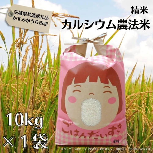 ふるさと納税 茨城県 鉾田市 カルシウム農法米 精米10kg（茨城県共通返