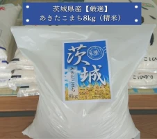 お茶の根本園 毎日さしま茶［緑茶］1.5kg（茨城県共通返礼品・坂東市産）