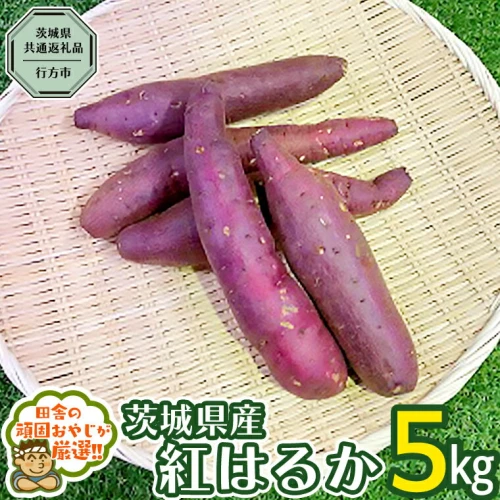 べにはるか 5kg 【令和5年10月から発送開始】（県内共通返礼品：行方市