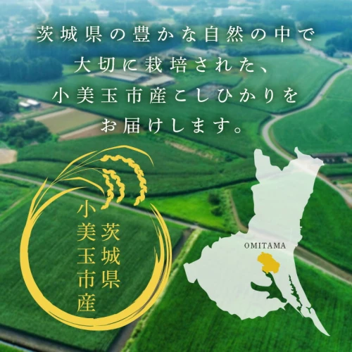 令和5年産新米】 コシヒカリ こしひかり 5kg 米 白米 茨城県産 新米 お