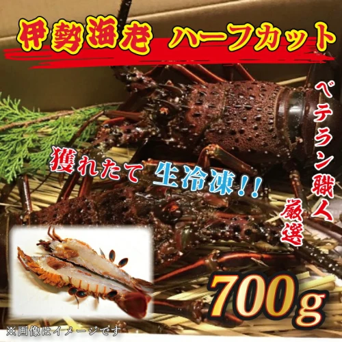 生冷凍 伊勢海老 ハーフカット 700g 冷凍 国産 伊勢エビ イセエビ