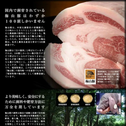 塚原牧場の幻の豚「梅山豚」厚切りヒレ肉480g（160g×3個）｜肉 豚肉