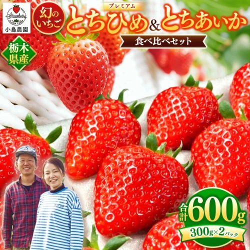 幻 の いちご プレミアム とちひめ ・ とちあいか 食べ比べ 600g〈2024