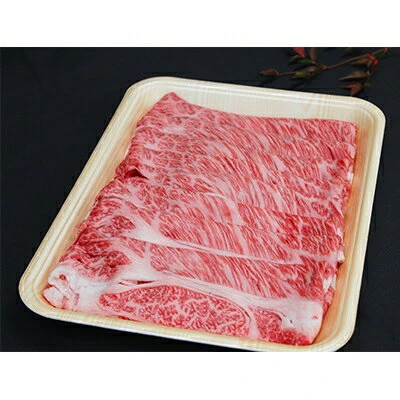 那須野ヶ原和牛 肩ロースしゃぶしゃぶ600g(3〜6人前)【 牛肉 栃木県