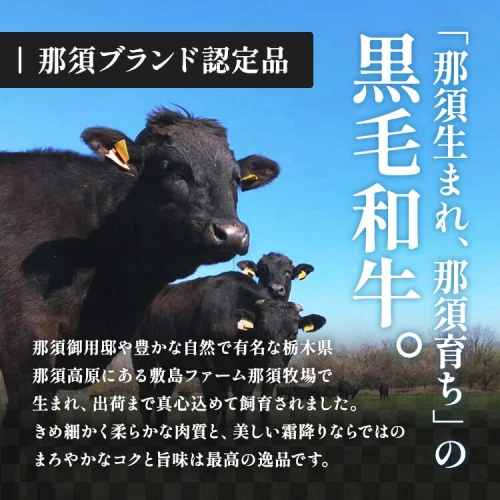 那須高原 敷島和牛手作りハンバーグ（150g×5個）計750g ハンバーグ