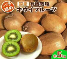 キウイフルーツ 香緑キウイ 約 1.4kg 化粧箱 入り 国産 高松産