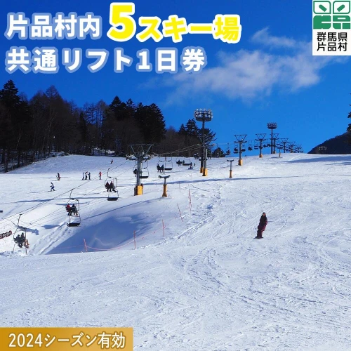 2024シーズン有効 スキーリフト券（1日券引換券） リフト券 スキー