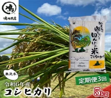 千葉県で獲れたペット用猪ジャーキー(5個セット）250g 【 ペット用品