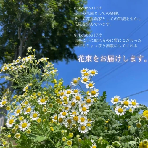 定期便6ヵ月／「朝切りの季節のお花で作るオリジナル花束~87KOUBOU17