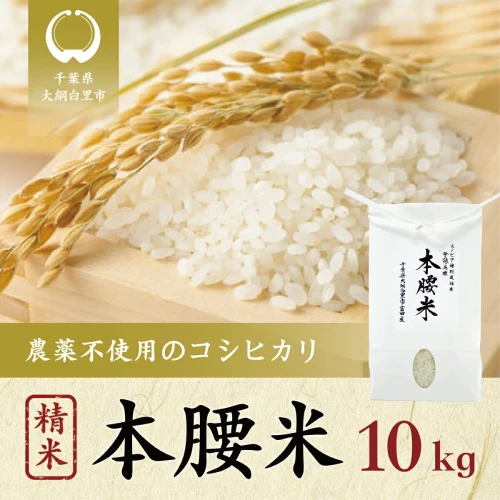 本腰米10kg 精米 千葉県産コシヒカリ 農薬不使用 お米 10kg 千葉県産