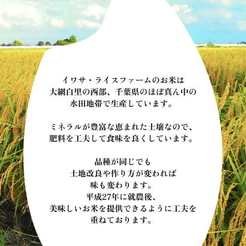 大網白里産 2種類のお米食べ比べセット10kg にじのきらめき(5kg)・粒