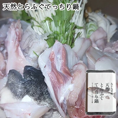 九十九里産天然とらふぐてっちり鍋用2人前 【 魚貝類 てっちり鍋用