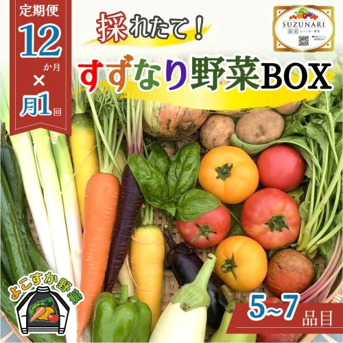 すずなり採れたて野菜BOX（定期便）60サイズ 12ヶ月 横須賀市 野菜 旬