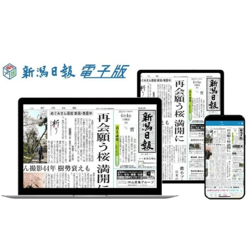 新潟日報電子版（朝刊＋おとなプラス）（3か月）