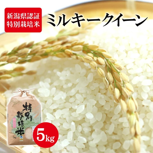 令和5年産 新潟県認証特別栽培米 ミルキークイーン 5kg 【 お米 白米