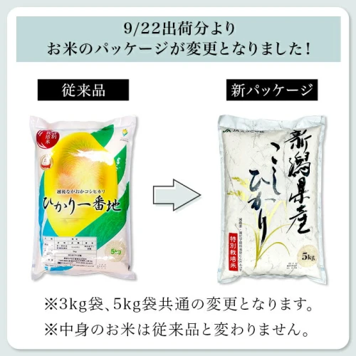 米 10kg 白米 新潟こしひかり 令和5年 新米 75-3N101新潟県長岡産特別