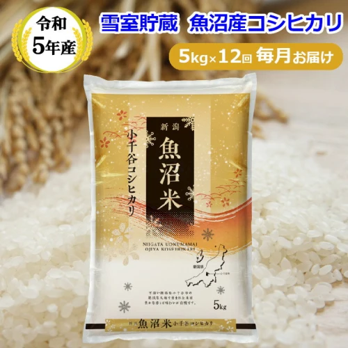 残り1つ!令和5年度産 新潟県産コシヒカリ 25kg 新潟 魚沼産 残り1つ!令和5年度産 新潟県産コシヒカリ 25kg 新潟 魚沼産