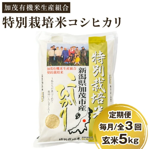 新潟県加茂市産 特別栽培米コシヒカリ 玄米15kg（5kg×3）従来品種