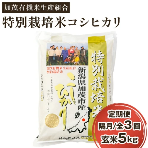 定期便3回隔月お届け】新潟県加茂市産 特別栽培米コシヒカリ 玄米5kg