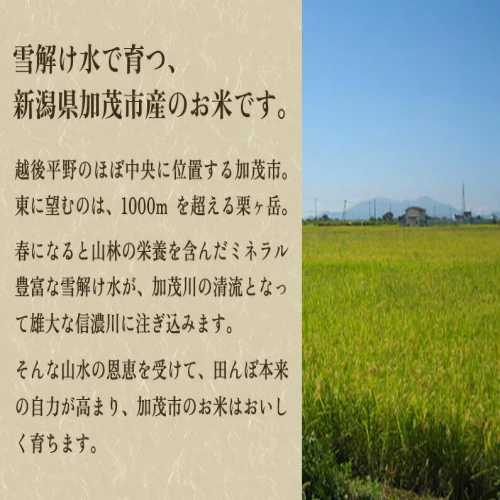 定期便3回隔月お届け】新潟県加茂市産 特別栽培米コシヒカリ 玄米15kg