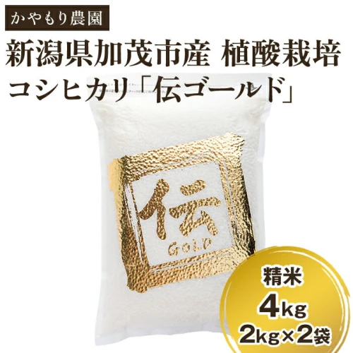 令和5年産新米】新潟産コシヒカリ「伝ゴールド」白米真空パック 精米