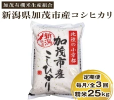 定期便6ヶ月毎月お届け】新潟産コシヒカリ「伝ゴールド」白米真空