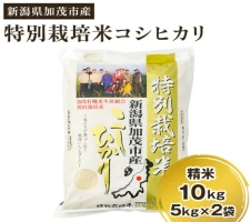 令和5年産新米】新潟県加茂市産 特別栽培米コシヒカリ 玄米20kg（5kg×4