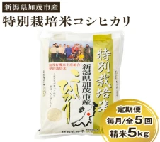 定期便3回毎月お届け】老舗米穀店が厳選 新潟産 従来品種コシヒカリ