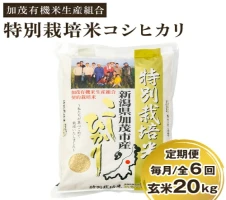 定期便3回隔月お届け】新潟県加茂市産 特別栽培米コシヒカリ 玄米15kg