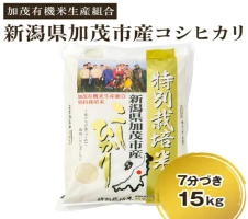 定期便3回毎月お届け】新潟県加茂市 七谷産 棚田米コシヒカリ 精米25kg