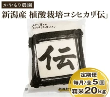 定期便6ヶ月毎月お届け】新潟産コシヒカリ「伝ゴールド」白米真空